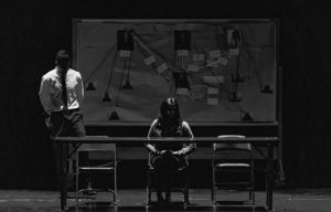 Private and police investigators